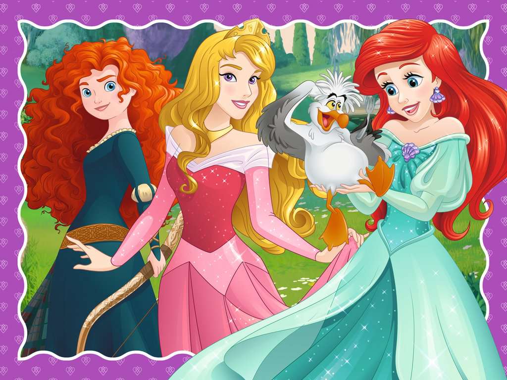 Disney Princess 12/16/20/24p