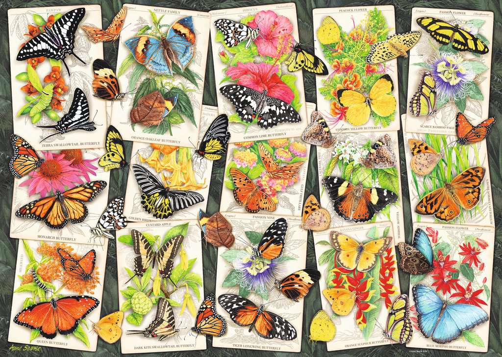 Tropical Butterflies 1000pc Puzzle