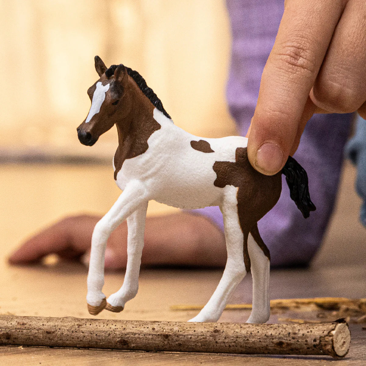 Paint Horse Foal