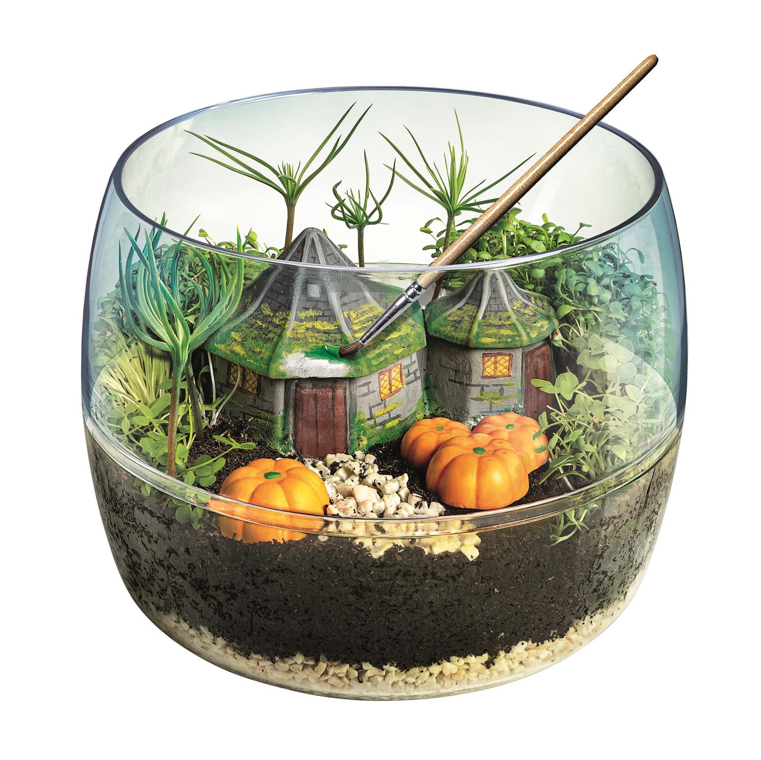 Hagrid's Hut Terrarium