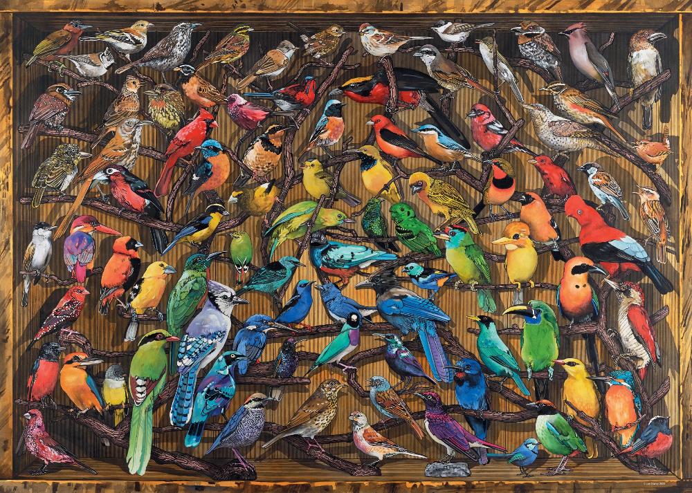 Rainbow of Birds, 1000pc