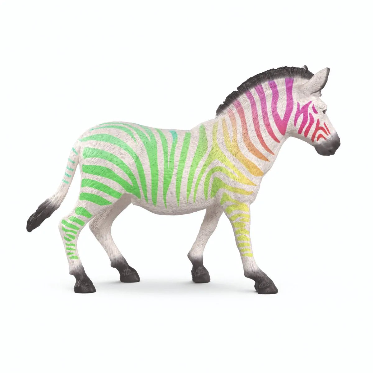 90 Year Edition Zebra mare