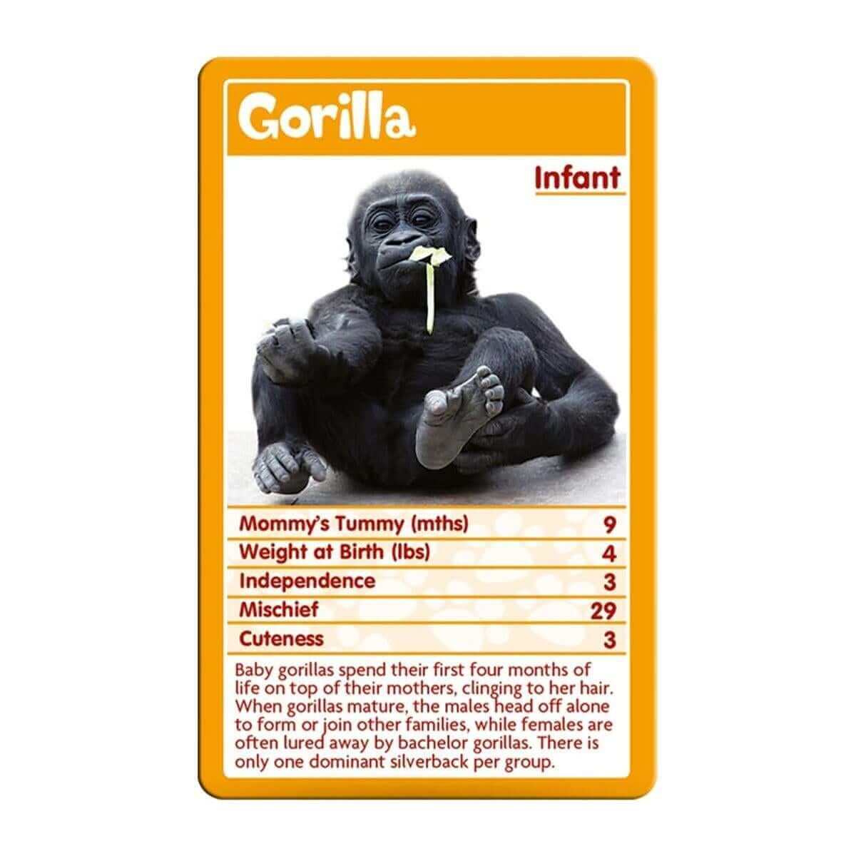 Top Trumps Baby Animals