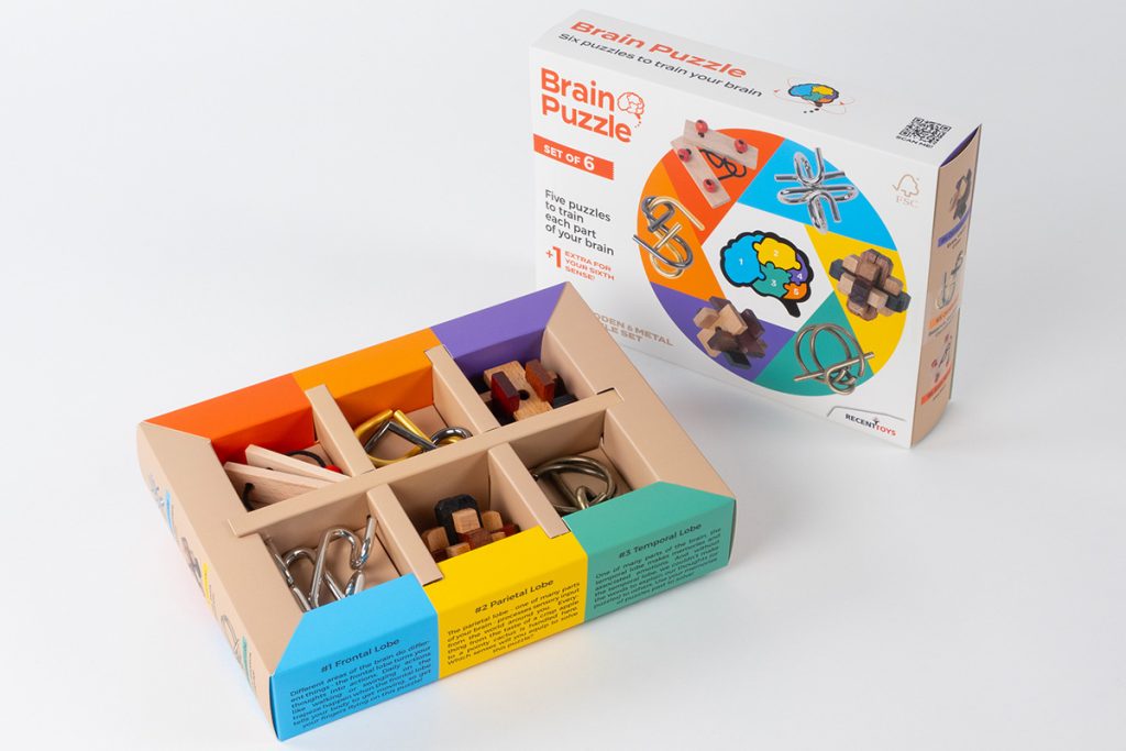 Brain Puzzle - set of 6